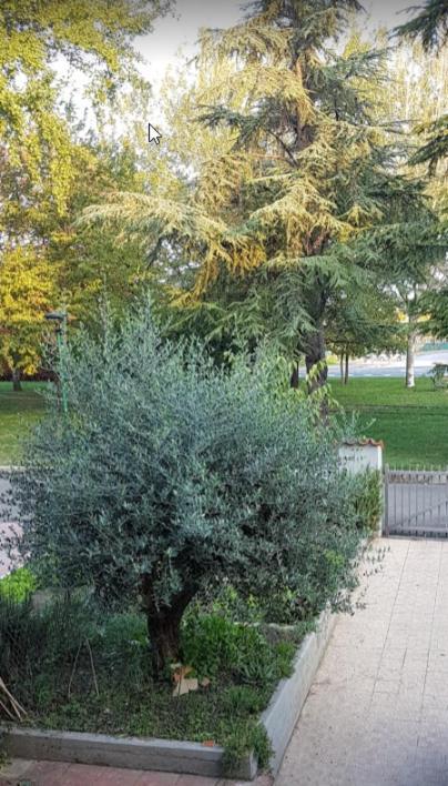 Villa Elsa, Cesena Zona Ippodromo Exteriör bild