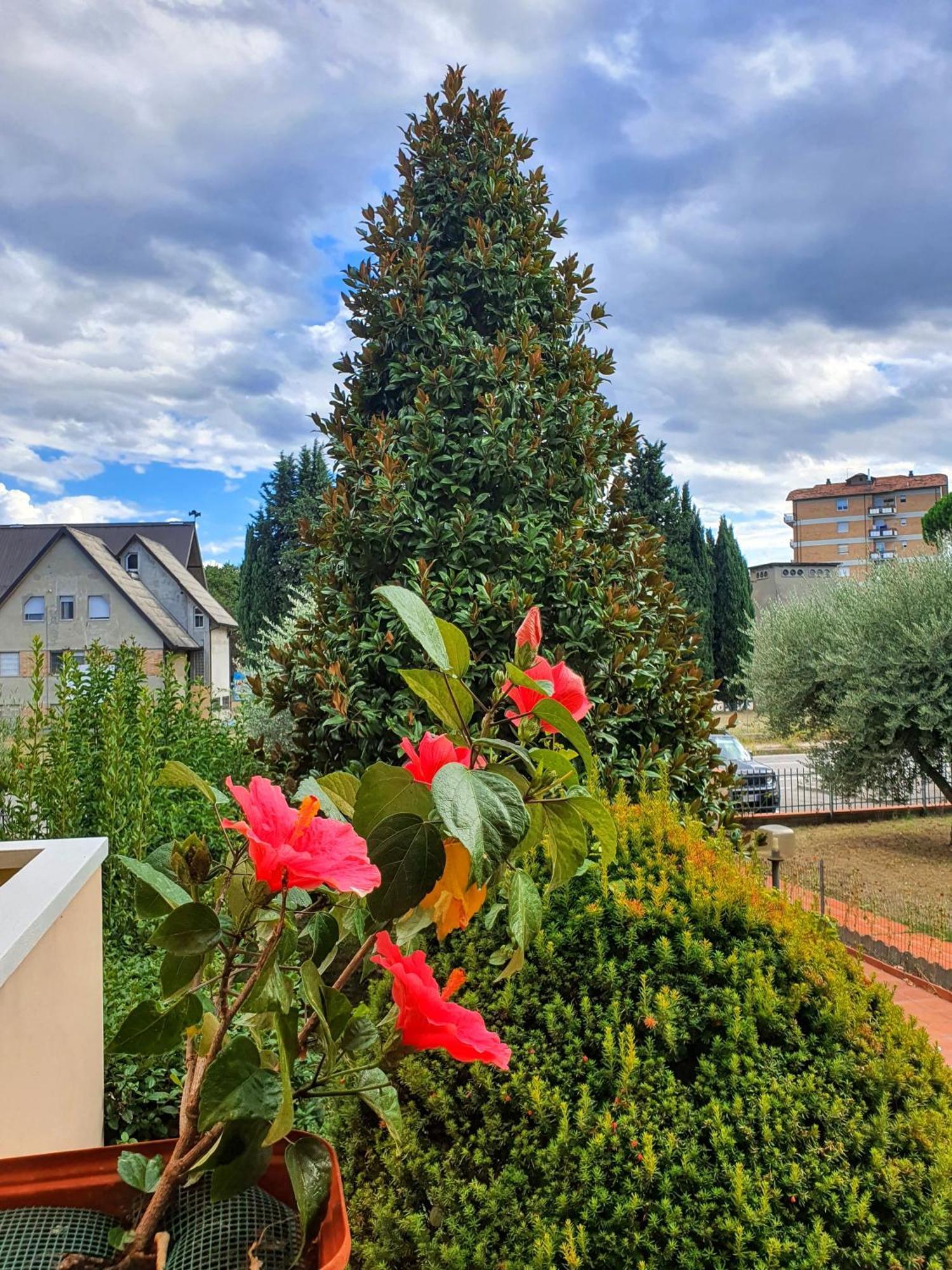 Villa Elsa, Cesena Zona Ippodromo Exteriör bild