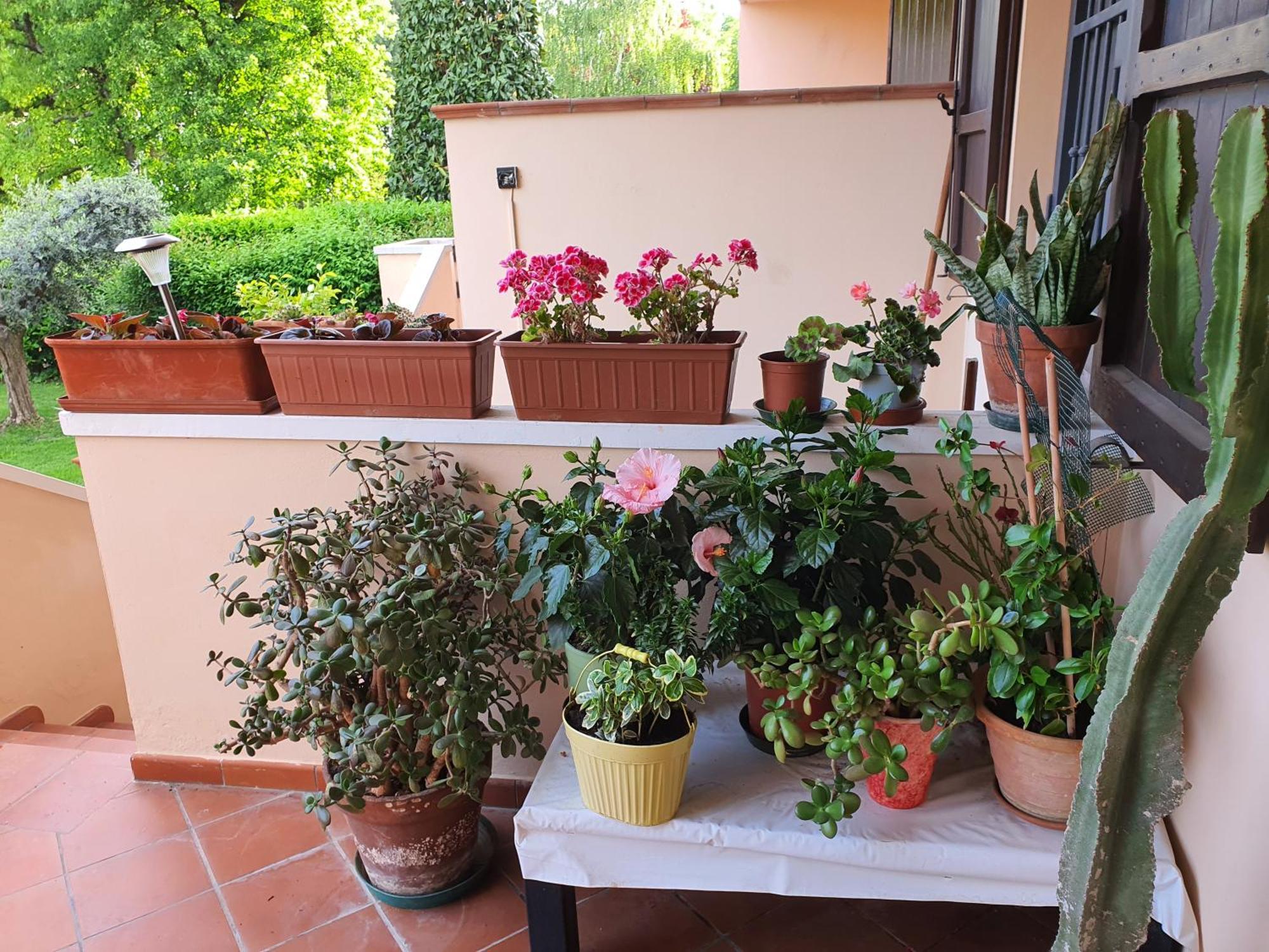Villa Elsa, Cesena Zona Ippodromo Exteriör bild